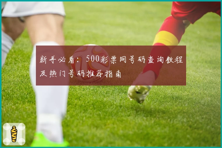 新手必看:500彩票网号码查询教程及热门号码推荐指南