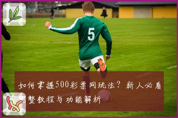 如何掌握500彩票网玩法？新人必看完整教程与功能解析
