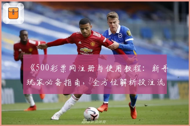 《500彩票网注册与使用教程：新手玩家必备指南，全方位解析投注流程》