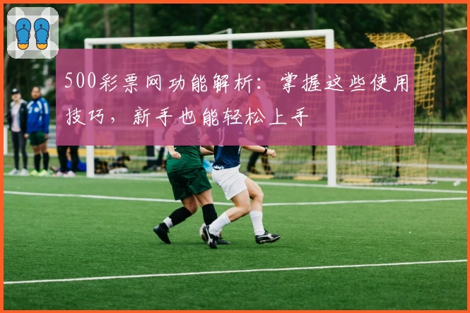 500彩票网功能解析：掌握这些使用技巧，新手也能轻松上手