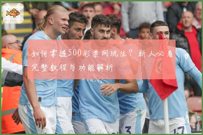 如何掌握500彩票网玩法？新人必看完整教程与功能解析