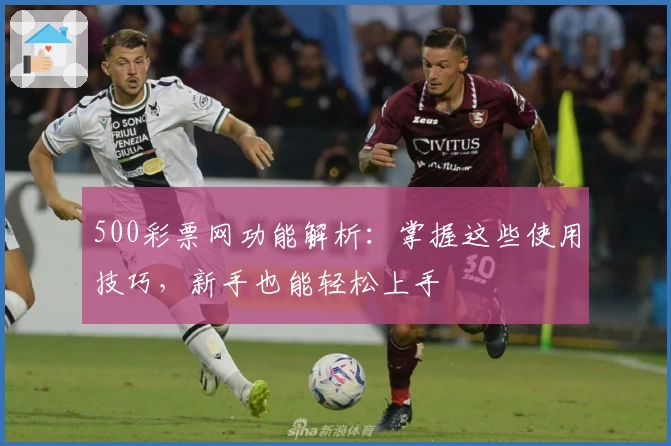 500彩票网功能解析：掌握这些使用技巧，新手也能轻松上手