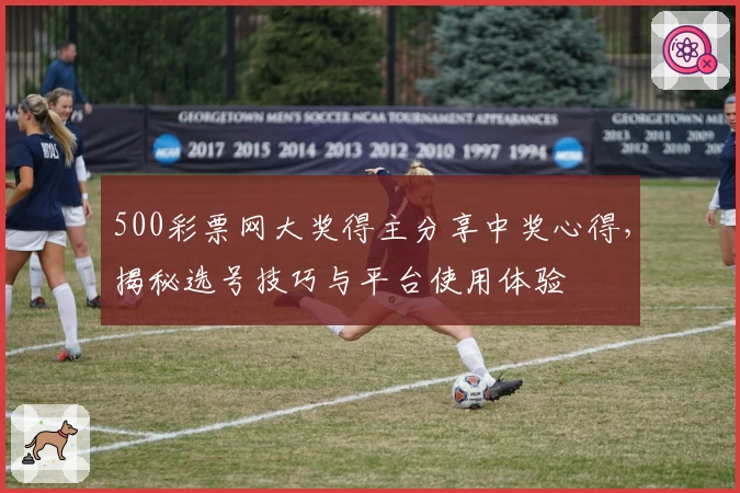 500彩票网大奖得主分享中奖心得，揭秘选号技巧与平台使用体验
