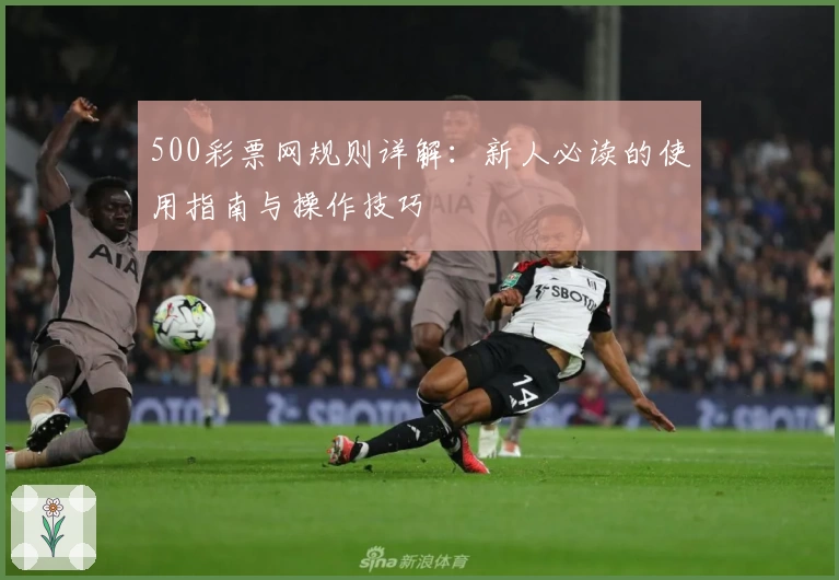 500彩票网规则详解：新人必读的使用指南与操作技巧