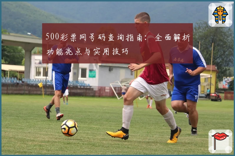 500彩票网号码查询指南：全面解析功能亮点与实用技巧